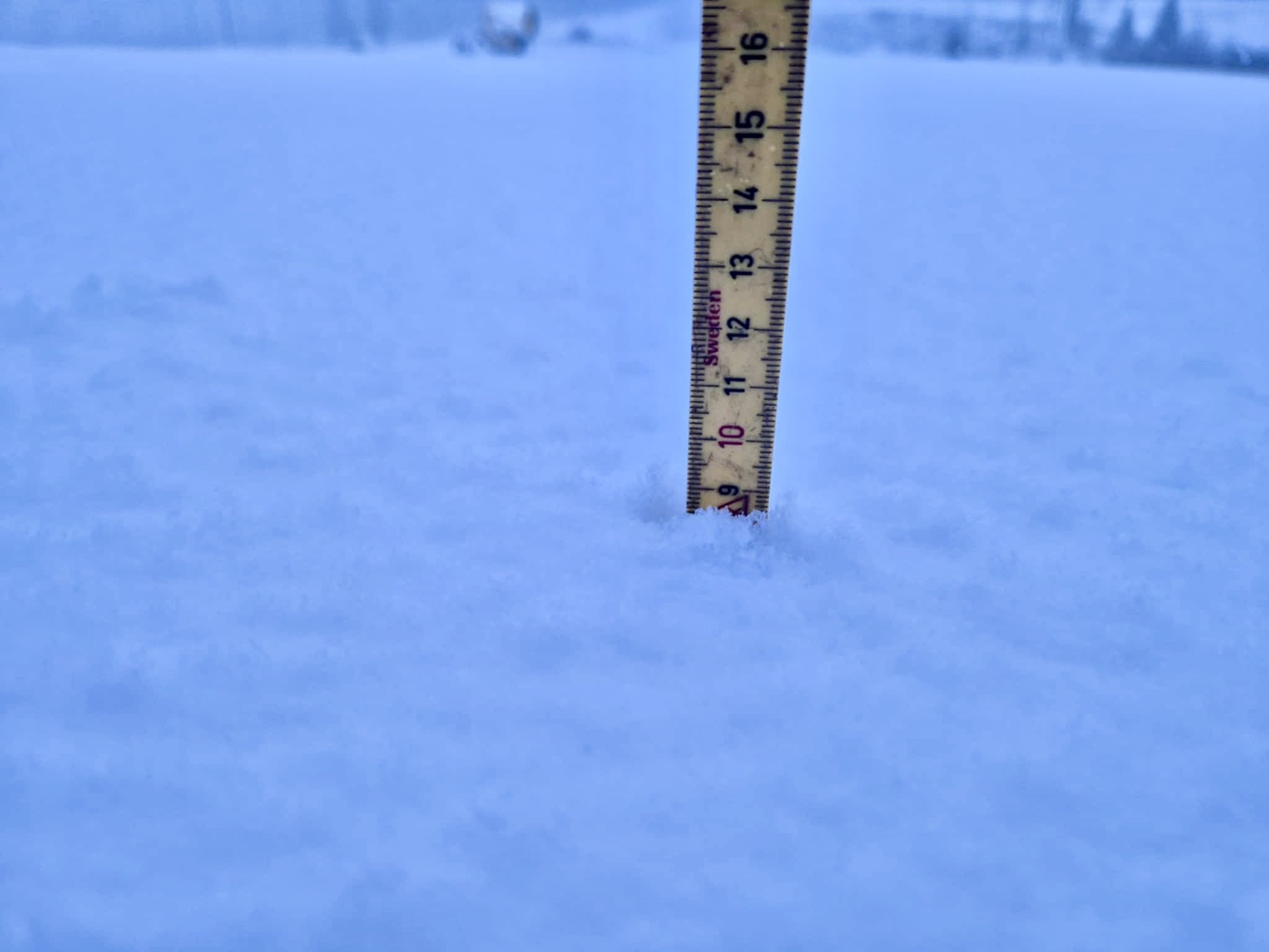 NM arrangeres som planlagt på Steinkjer 