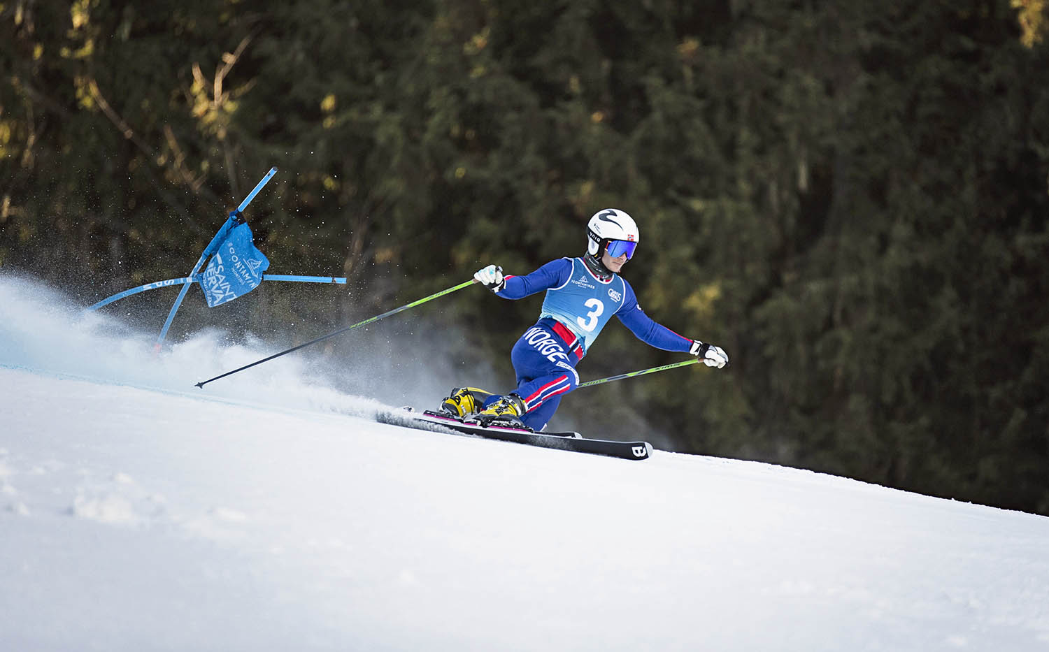 World Cup Telemark Ål